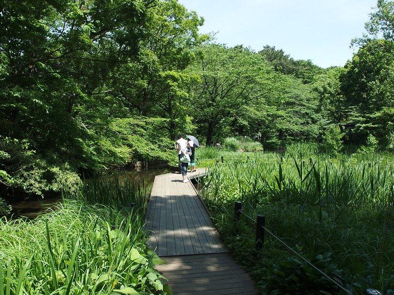 Institute for Nature Study, satu tempat wisata terbaik di Meguro Jepang.