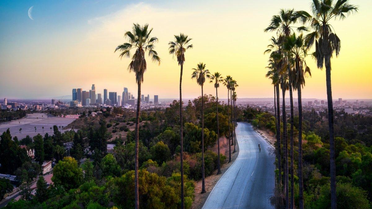 Jalan dengan pohon palem dengan latar belakang Los Angeles.