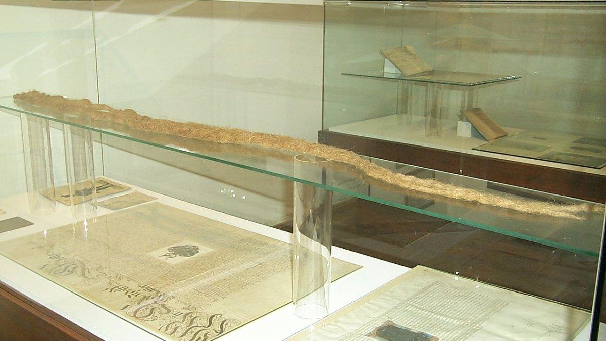 Janggut milik Hans Steininger yang tersimpan di museum.