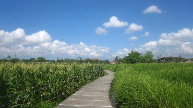 Jogging Track Kartalangu, Denpasar, Bali.