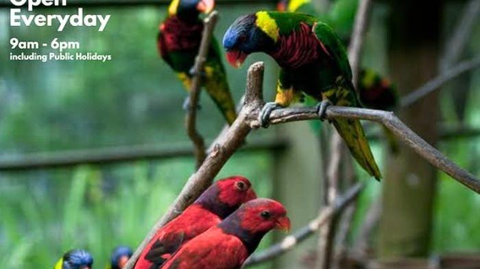 KL Bird Park.