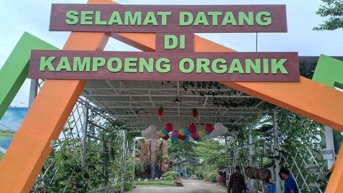 Kampoeng Organik, tempat wisata populer dan kids friendly di Kecamatan Jambi Selatan, Paal Merah, Kota Jambi, Jambi.