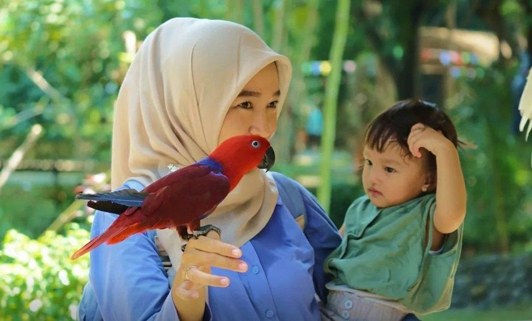 Faunaland, satu tempat wisata di Ancol Jakarta yang bisa kamu kunjungi bareng anak saat libur sekolah.
