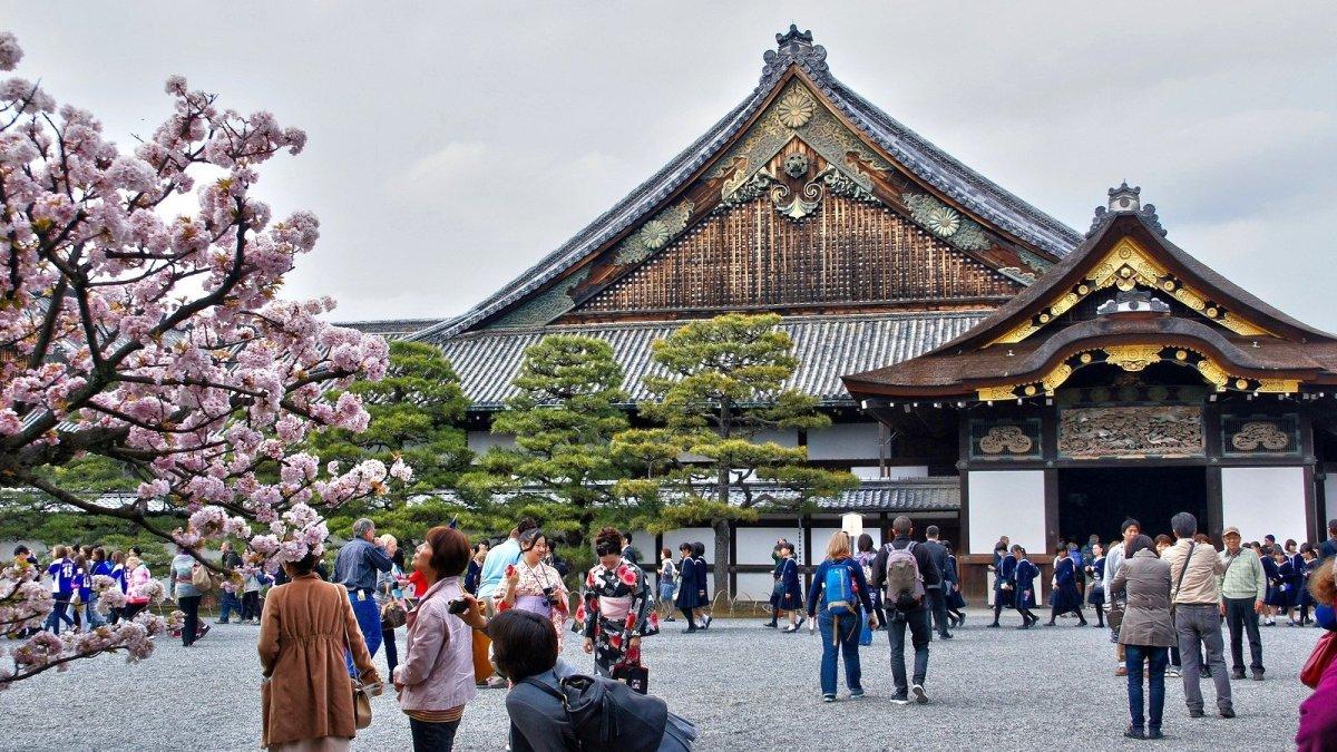 Kastil Nijo, satu tempat wisata di Kyoto Jepang buat menyaksikan keindahan bunga sakura.