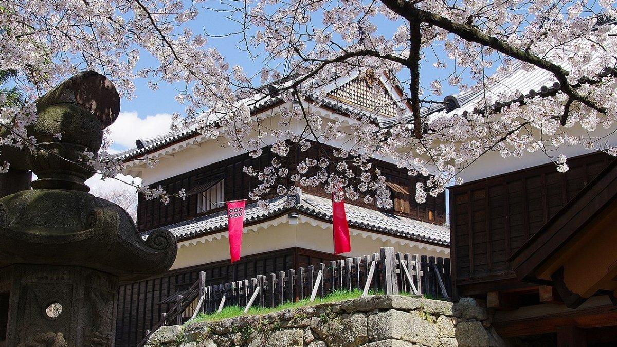 Kastil Ueda, satu kastil terbaik di Jepang yang wajib kamu jelajahi saat liburan ke sana.