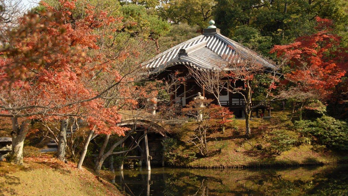 Katsura Imperial Villa, satu taman terbaik di Jepang di mana kamu bisa menikmati keindahan empat musim.