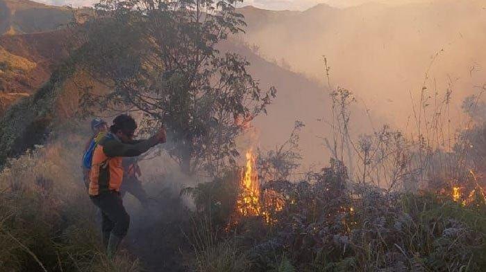 Petugas berusaha memadamkan api yang membakar kawasan Taman Nasional Bromo Tengger Semeru Jawa Timur, Sabtu (22/6/2024).