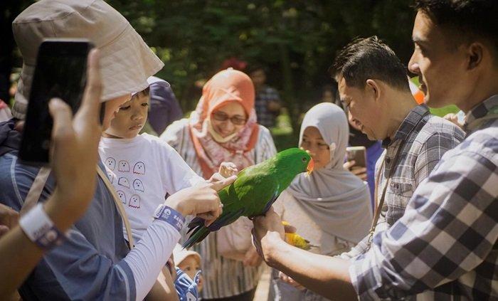 Pengunjung tengah berinteraski dengan koleksi satwa di Kebun Binatang Bandung.