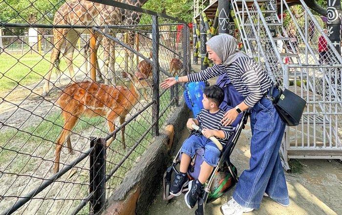 Pengunjung yang sedang memberi makan satwa di Kebun Binatang Surabaya, Jawa Timur.