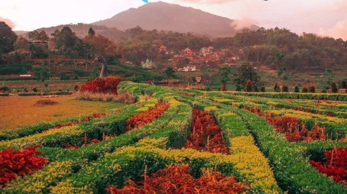 Kebun Refugia Magetan di Jawa Timur.