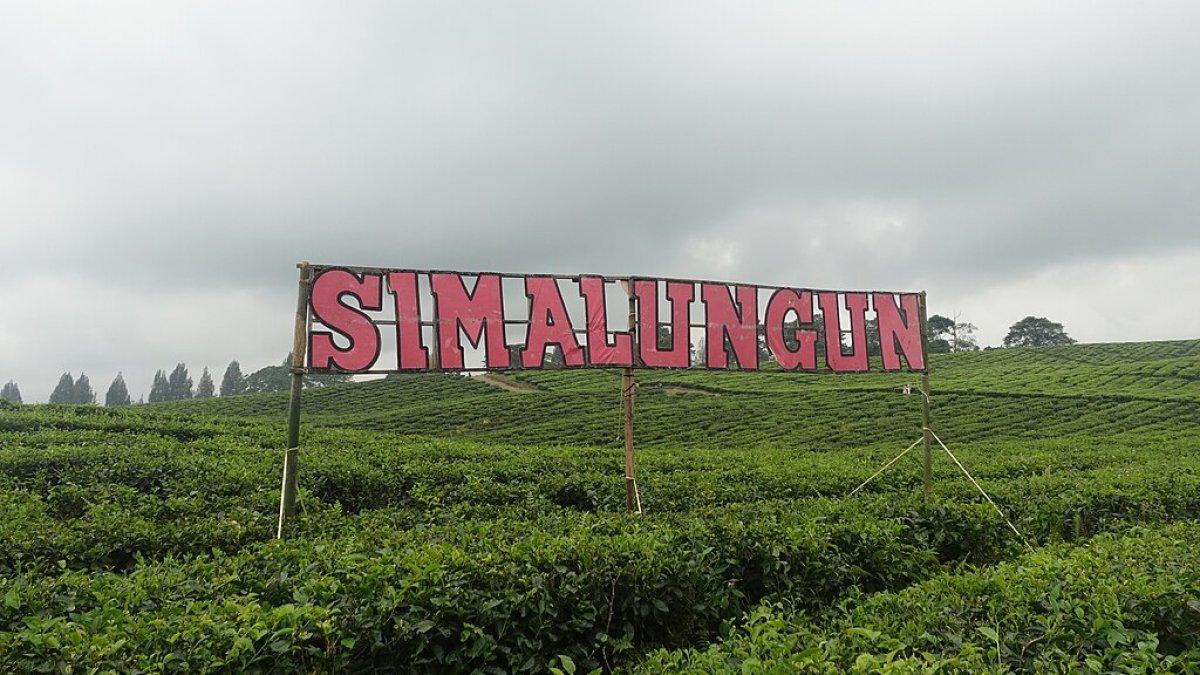 Kebun Teh Sidamanik, satu tempat wisata di Sumatera Utara