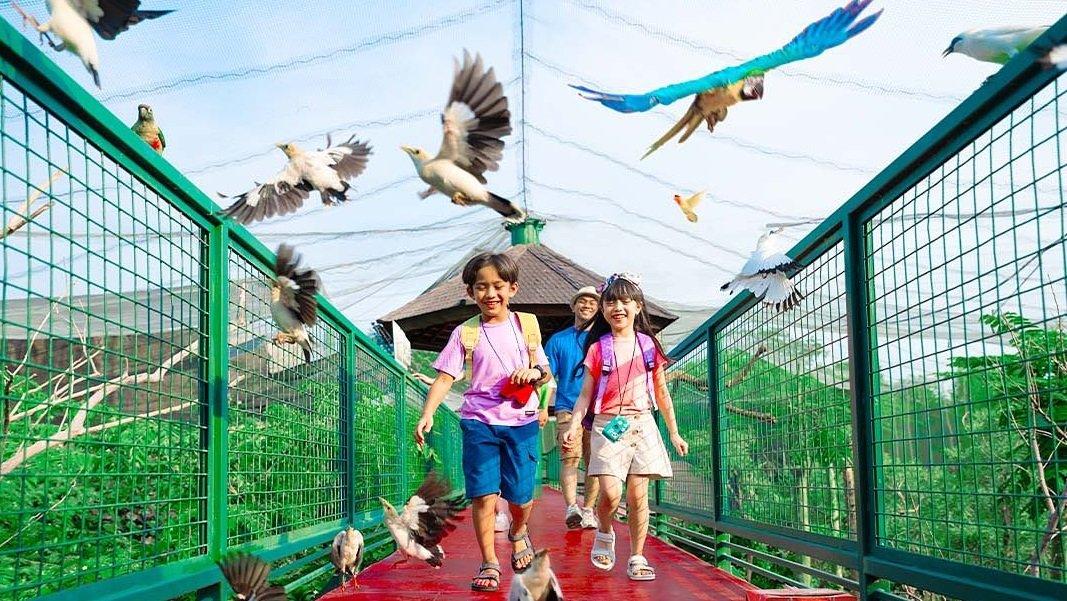 Jakarta Bird Land, satu tempat wisata di Ancol Jakarta yang bisa kamu kunjungi bareng anak saat libur sekolah.