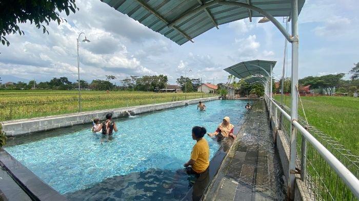 Pengunjung berenang di Kolam Renang Pesona Alam Tirta Klaten, Selasa (28/11/2023).