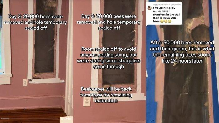 Kolase foto tembok rumah yang dijebol gara-gara dengar suara mirip monster.