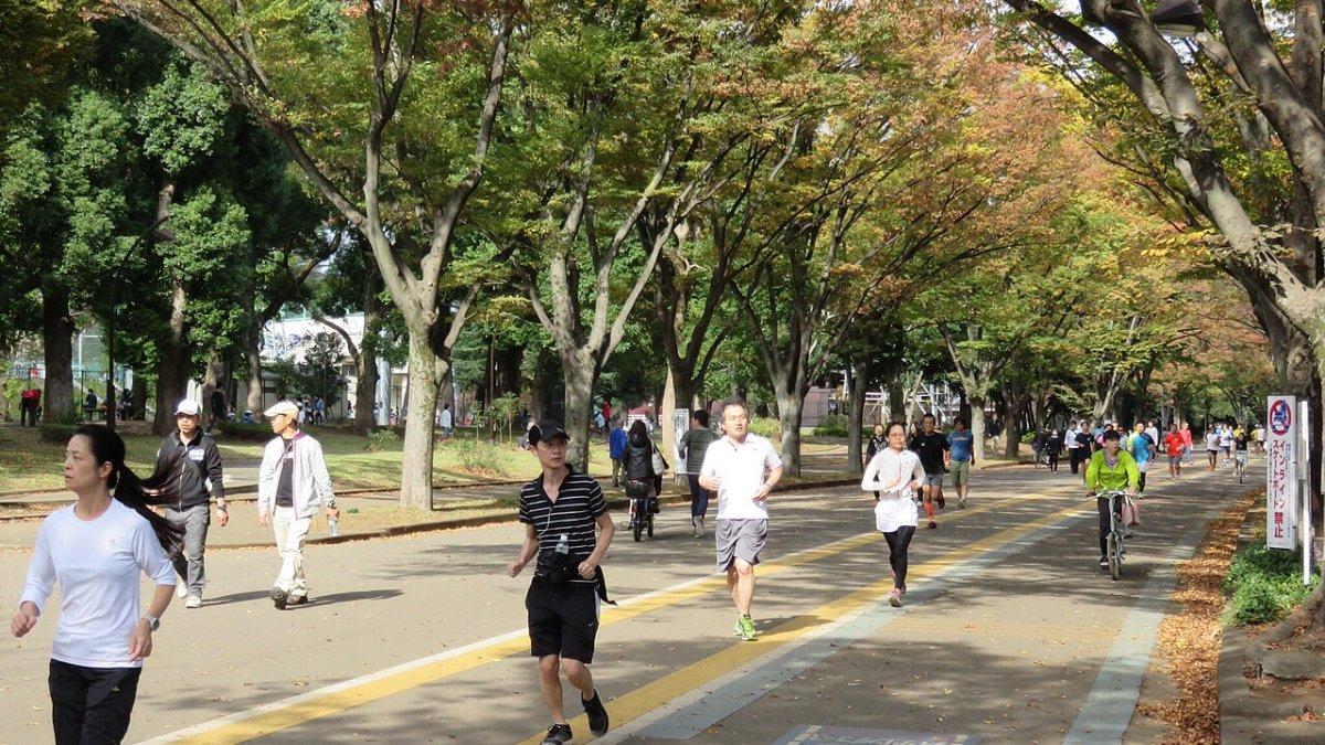 Komazawa Olympic Park, satu taman terbaik di Tokyo Jepang.