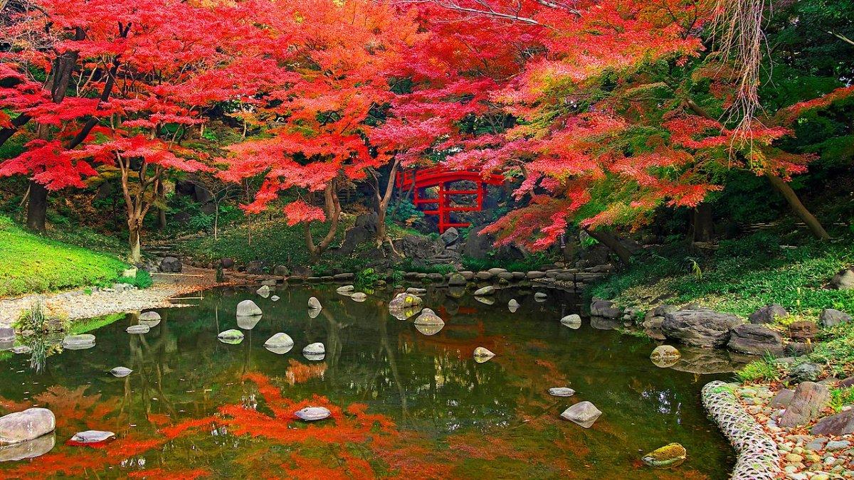 Korakuen, satu taman terbaik di Jepang di mana kamu bisa menikmati keindahan empat musim.