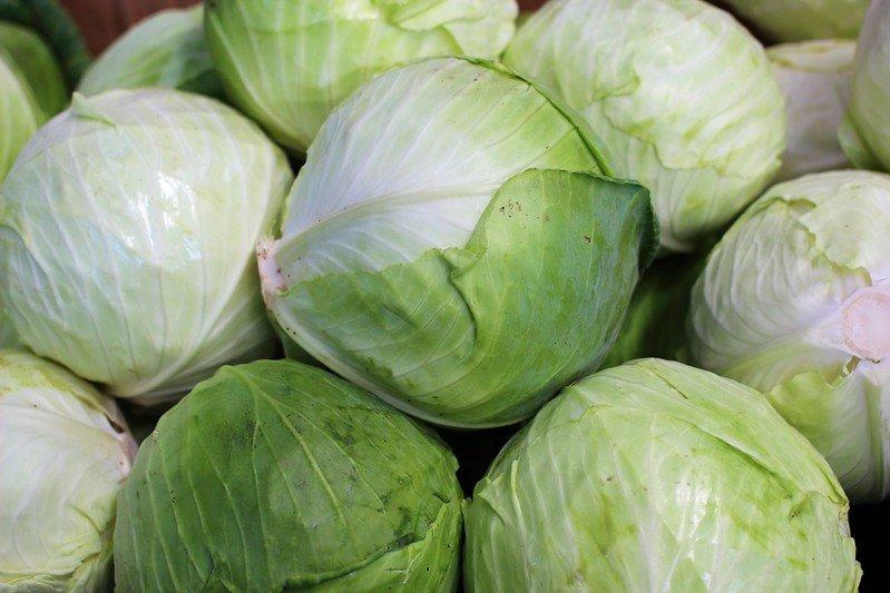 Kubis, satu makanan khas musim semi di Jepang.