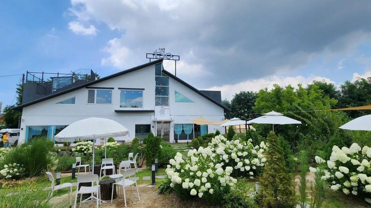 Lab.tso, satu kafe hits di Incheon Korea Selatan yang terkenal estetik dengan kuliner yang unik.