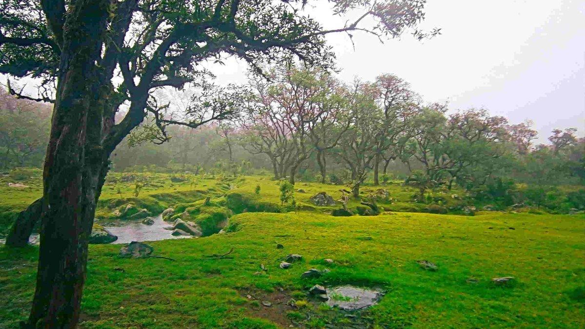 Lembah Lohe, satu tempat camping di Kecamatan Parigi, Kabupaten Gowa, Sulawesi Selatan.