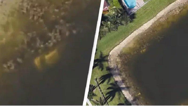 Lewat Google Earth, pria secara tak sengaja menemukan lokasi orang yang hilang 22 tahun silam.