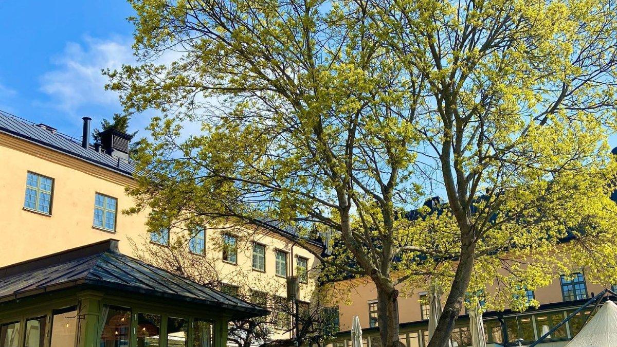 Långholmen Hotel, satu bekas penjara yang diubah menjadi hotel mewah.