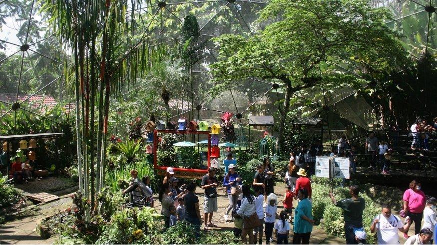 Malagos Garden Resort, Davao City, Filipina.