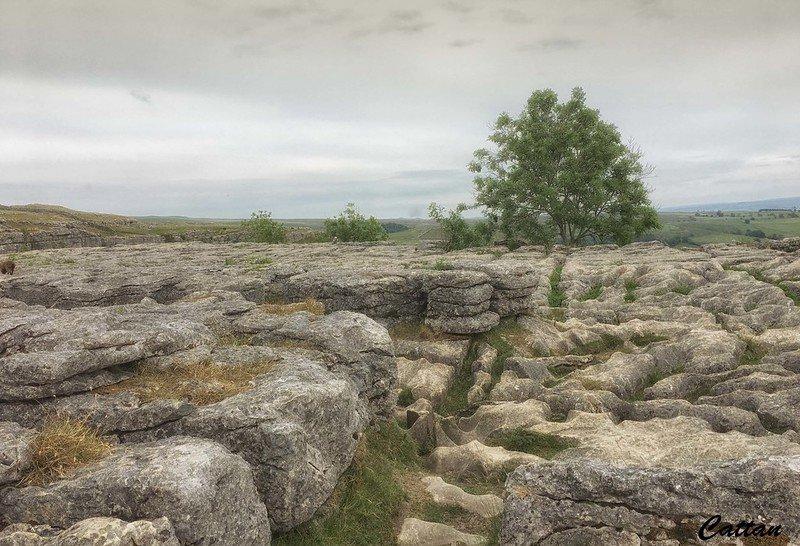 Malham Cove, satu tempat syuting Harry Potter yang bisa kamu kunjungi.