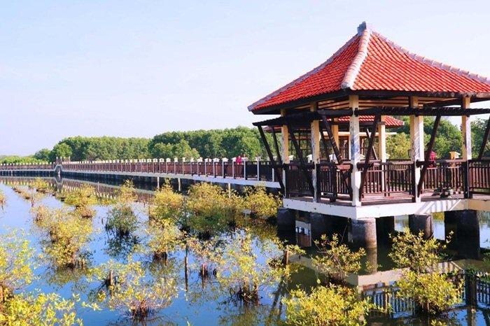 WISATA PEKALONGAN - Jembatan yang ada di Mangrove Park Pekalongan, Jawa Tengah, Kamis (20/2/2025). Mangrove Park Pekalongan bisa menjadi tempat wisata pilihan untuk menikmati liburan dengan tarif terjangkau.