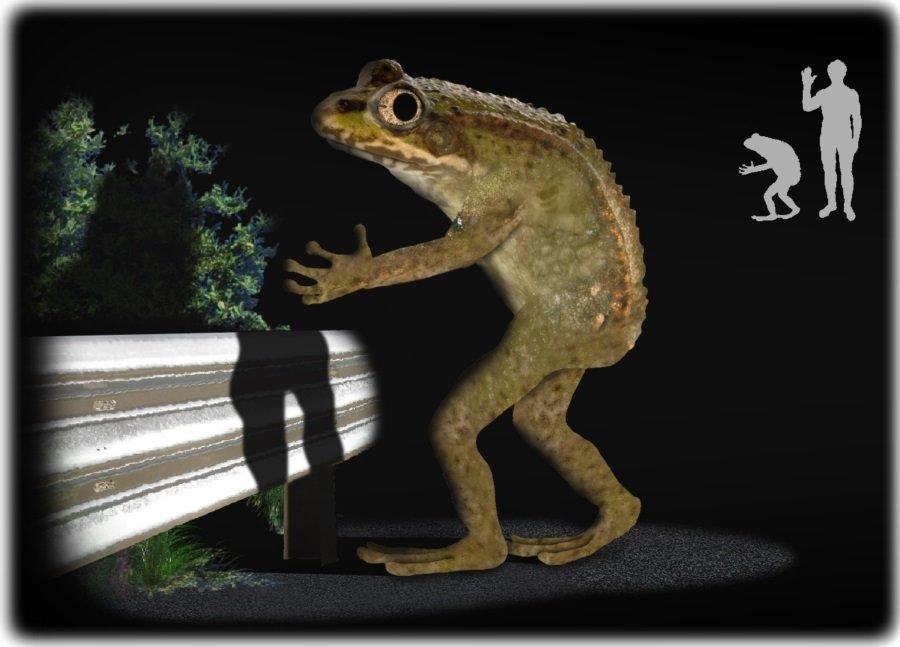 Manusia Katak yang menghantui Ohio.