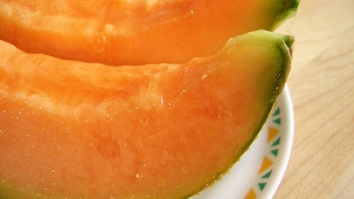 Ilustrasi buah melon dengan warna jingga.