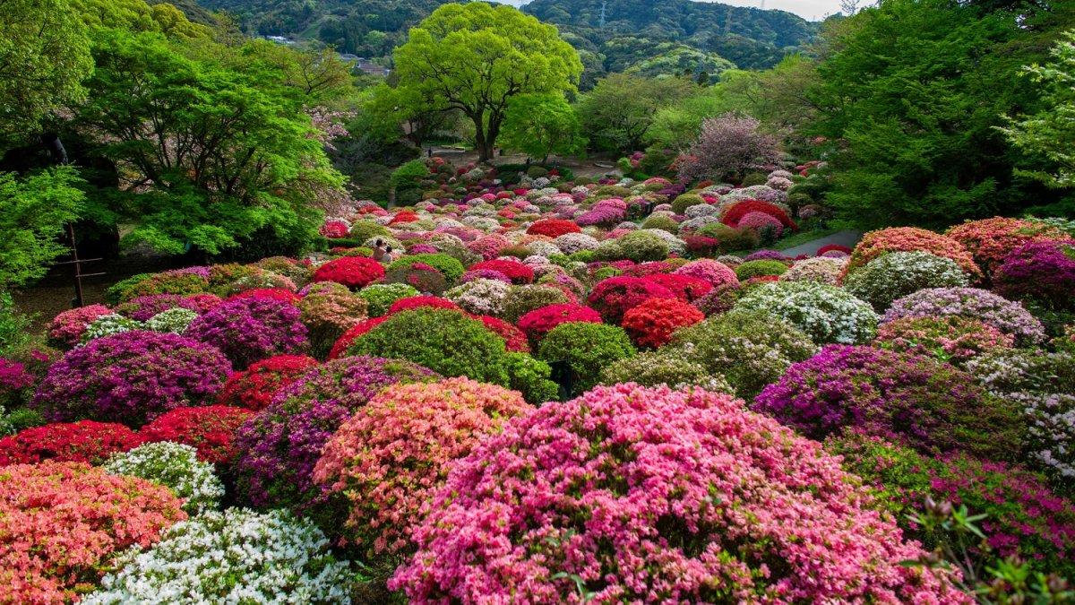 Mifuneyama Rakuen, satu tempat wisata terbaik di Saga Jepang.