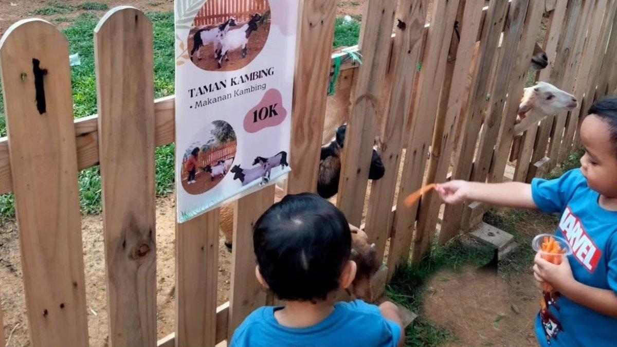 Mini Zoo, satu daya tarik di Dusun Giok Bogor.