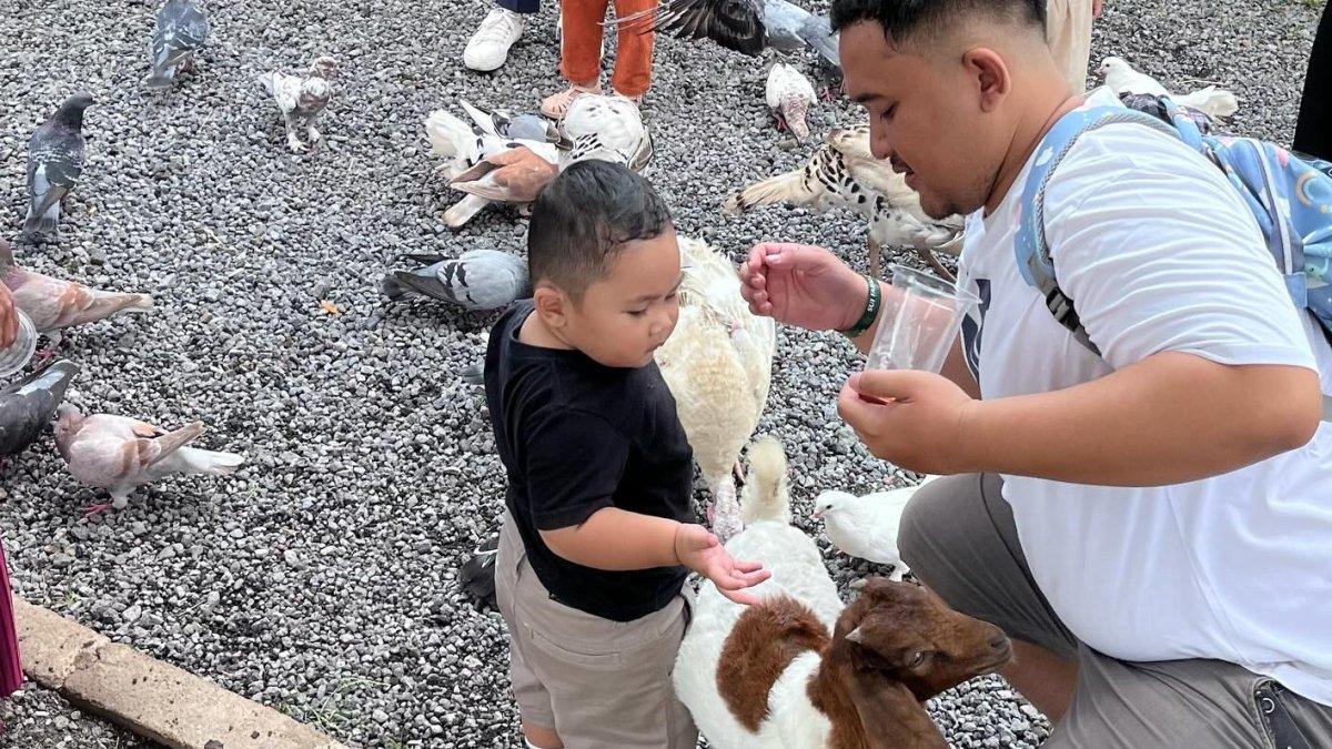 Mini zoo, satu wahana yang bisa kamu temukan di Sui Farm, tempat wisata baru di Malang.