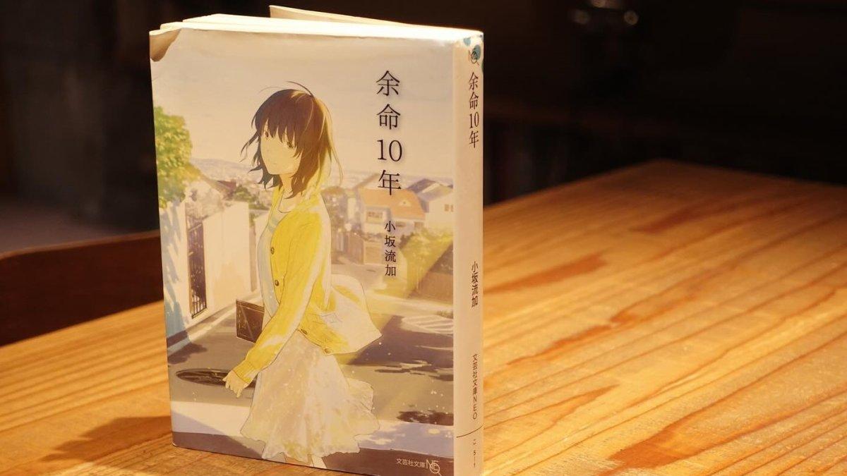 Mori no Tosyo Shitsu, satu kafe terbaik di Tokyo Jepang yang punya fasilitas wifi terbaik.