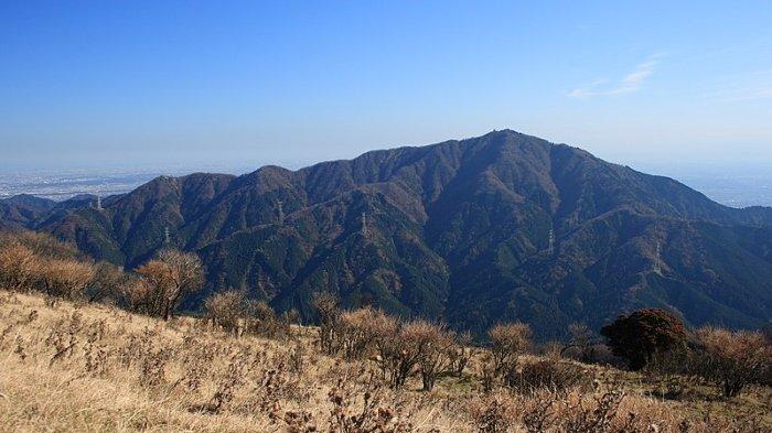 Mount Oyama atau Gunung Oyama di Jepang.