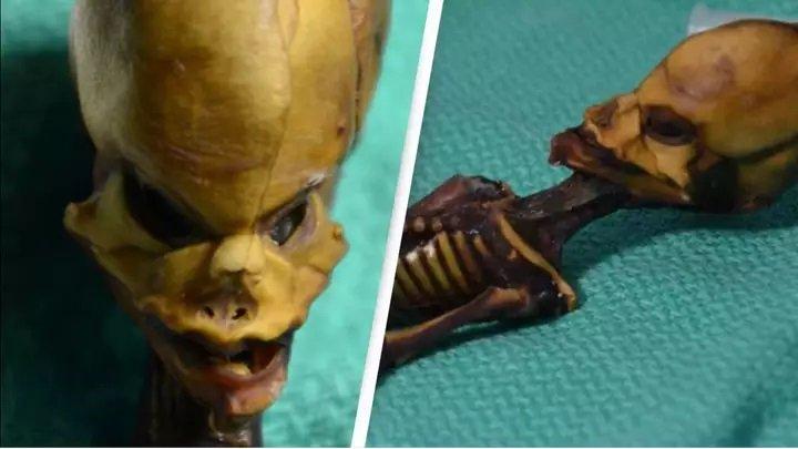 Mumi yang diduga alien