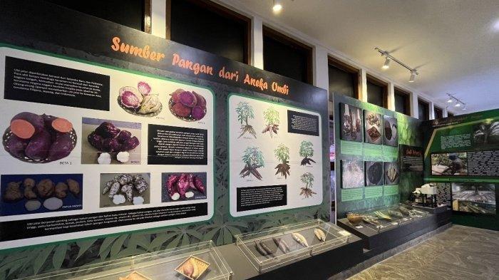 Museum Pertanian berlokasi di Jalan Ir H Juanda No 98, RT 01/RW 01, Gudang, Kecamatan Bogor Tengah, Kota Bogor, Jawa Barat.