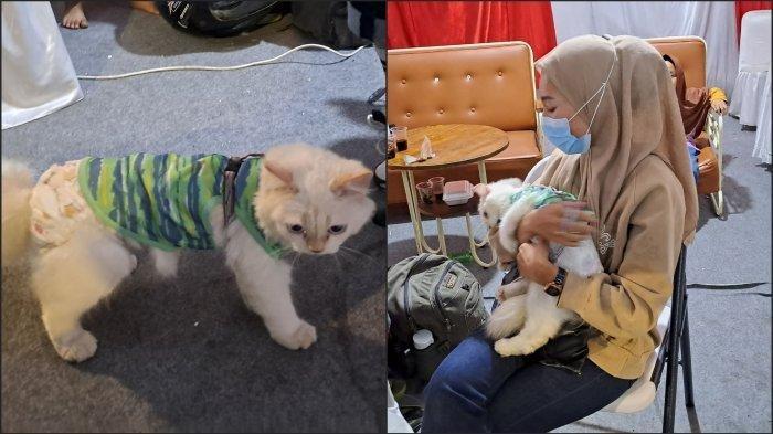 Nana, pemudik dari Serang, Banten, yang mudik ke Lampung naik sepeda motor dengan membawa serta kucing kesayangannya.
