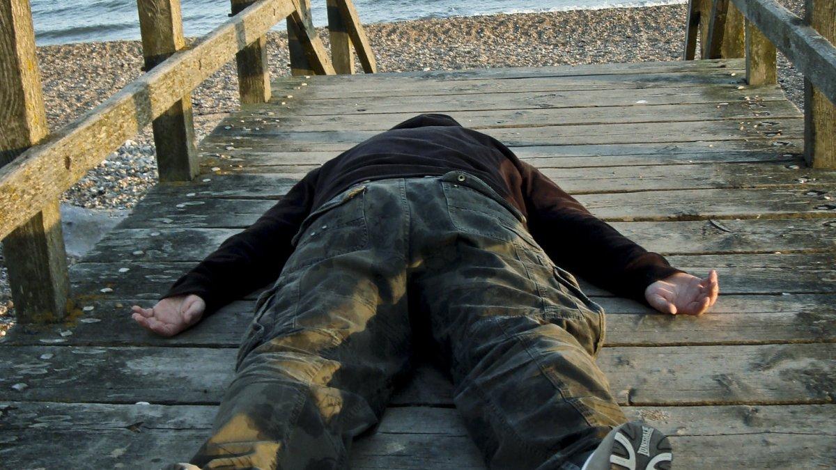 Narcolepsy, satu penyakit yang bisa dideteksi anjing.
