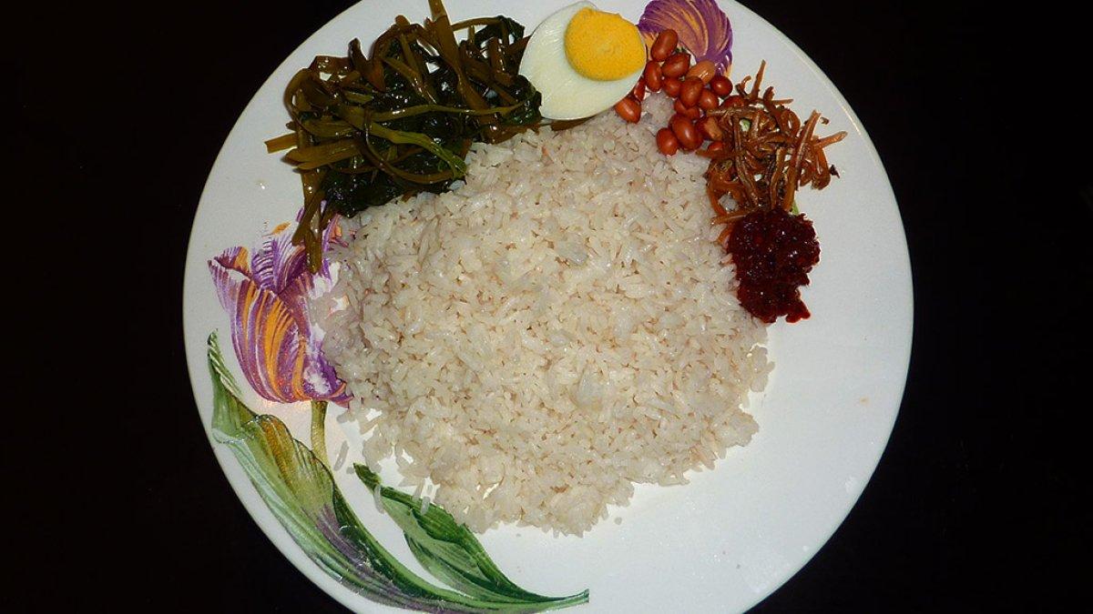Ilustrasi nasi lemak.