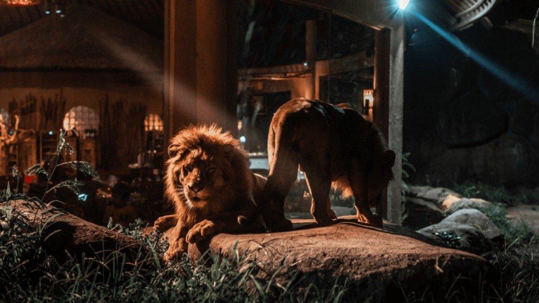 Night Safari di Bali Safari & Marine Park.