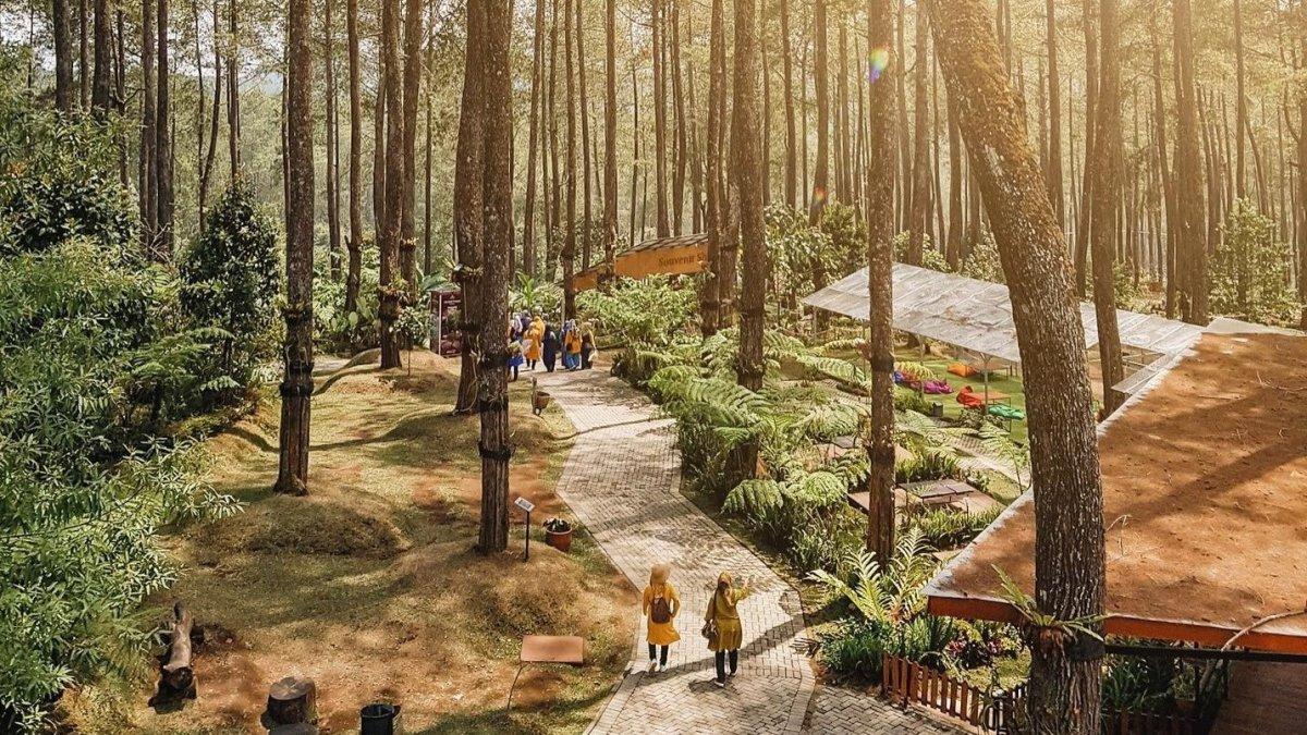 Orchid Forest Cikole, salah satu tempat wisata hits di Kabupaten Bandung.
