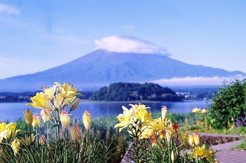 Oshino Hakkai, satu tempat terbaik di Jepang buat menyaksikan pesona Gunung Fuji yang ikonik.