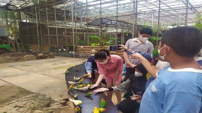 Palembang Bird Park, Palembang, Sumatera Selatan