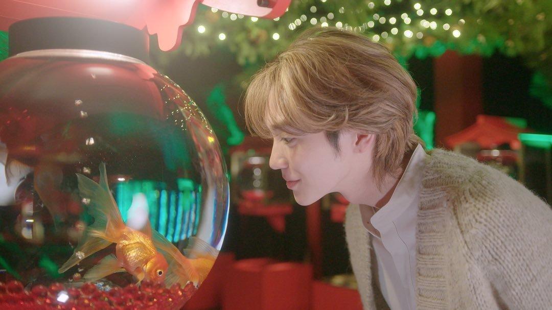 Art Aquarium, satu museum terbaik di Ginza Tokyo Jepang.