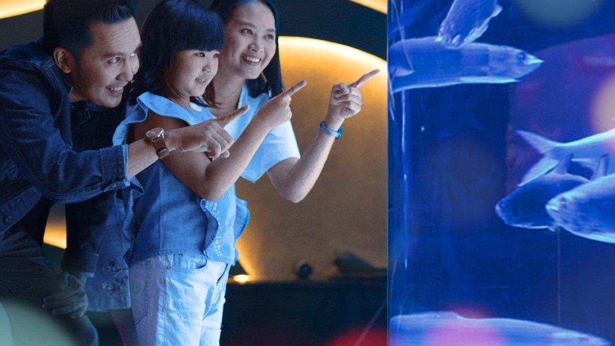 Panduan liburan ke Jakarta Aquarium Safari saat Libur Lebaran 2024.