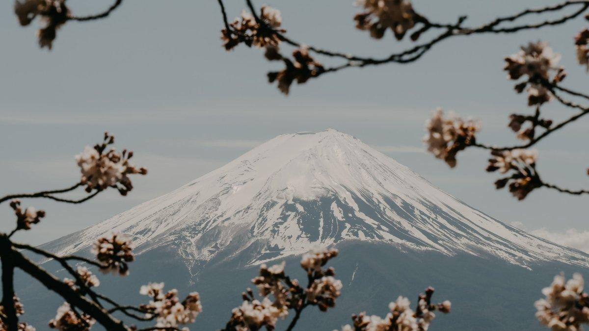 Gunung Fuji.