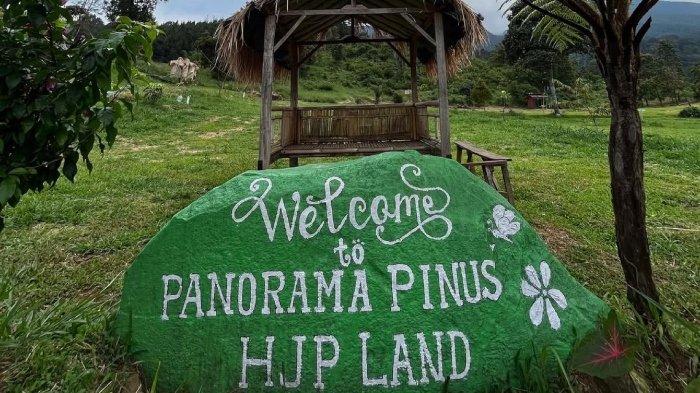 Panorama Pinus Pasiran Tengah di Bogor, Jawa Barat.