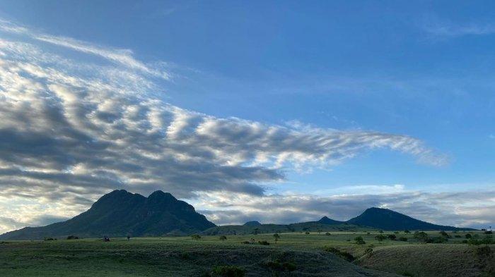 Panorama alam Padang Sabana Mausui, Manggarai Timur, NTT, saat sore hari.