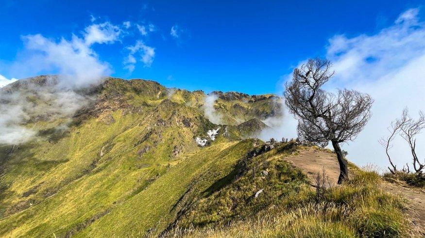 Panorama dari Pos Pemancar Gunung Merbabu via Thekelan.